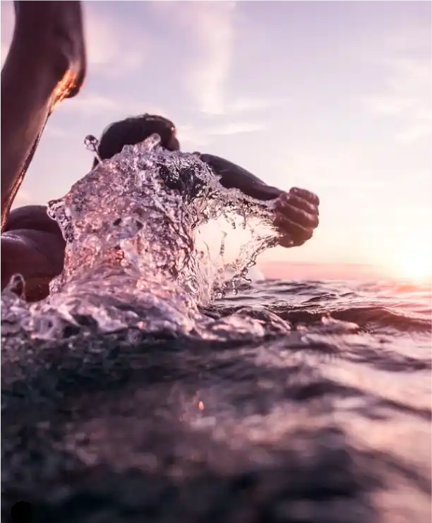 Surferra taularekin